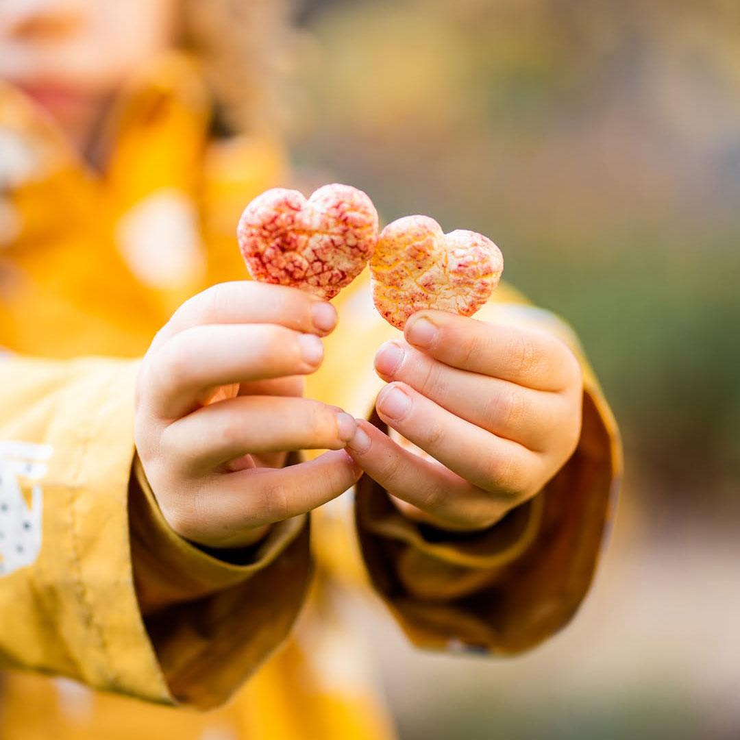 Botana orgánica crujiente de maíz y avena con fruta para bebé Holle Baby Food - Biobebé